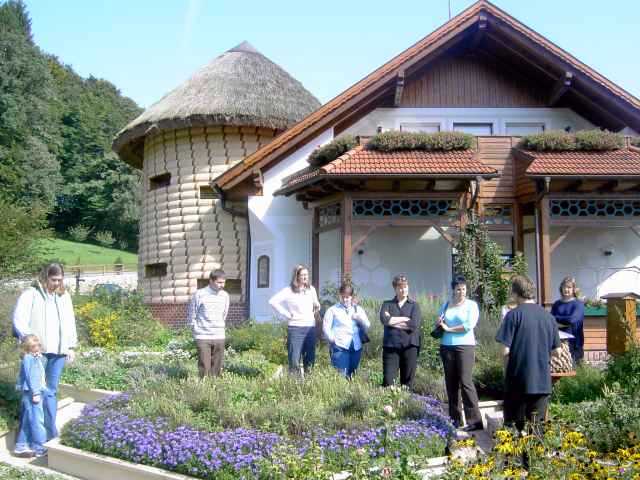 Bienengarten-5.jpg