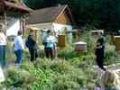 Bienengarten-6.jpg