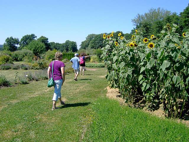 Klimaschutzgarten-01.jpg