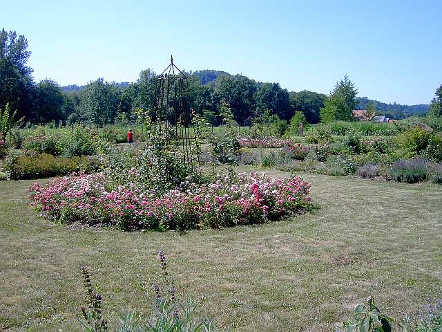 Klimaschutzgarten-03.jpg