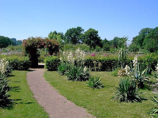 Klimaschutzgarten-04.jpg