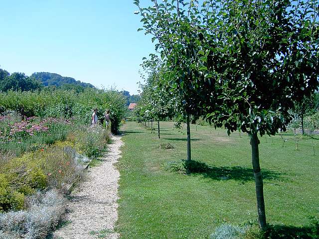 Klimaschutzgarten-06.jpg