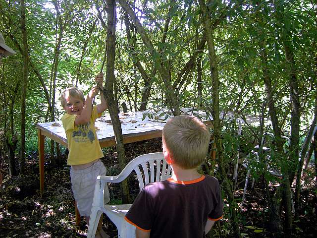 Klimaschutzgarten-07.jpg