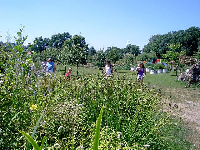 Klimaschutzgarten-08.jpg