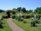 Klimaschutzgarten-04.jpg
