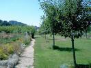 Klimaschutzgarten-06.jpg