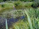 Klimaschutzgarten-09.jpg