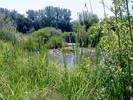 Klimaschutzgarten-11.jpg
