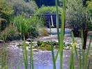 Klimaschutzgarten-12.jpg