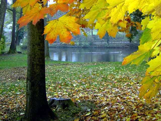 Herbst-3.jpg