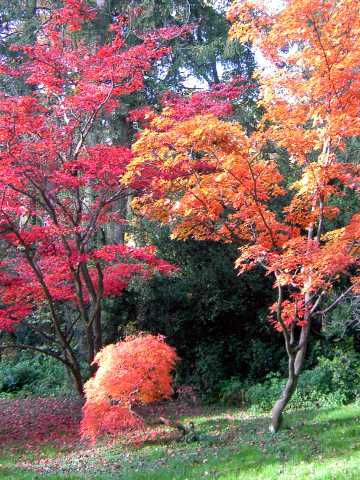 Herbst-9.jpg