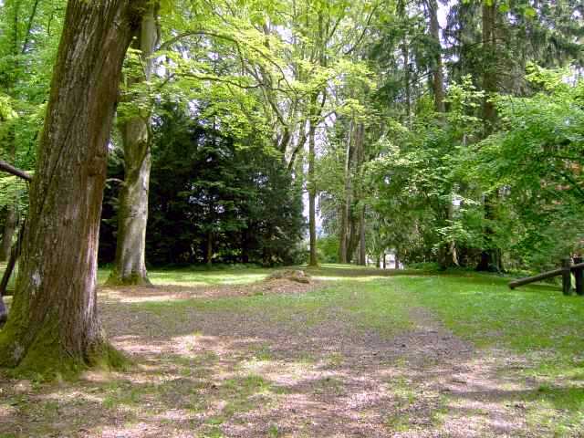 Park-3.jpg