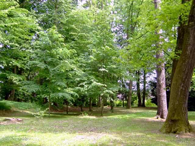 Park-4.jpg