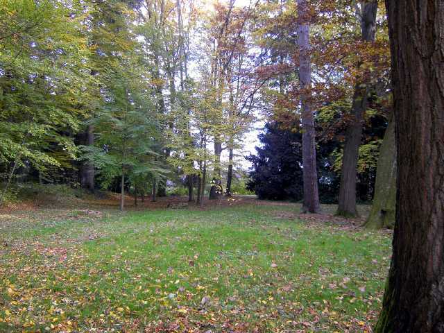 Park-5.jpg