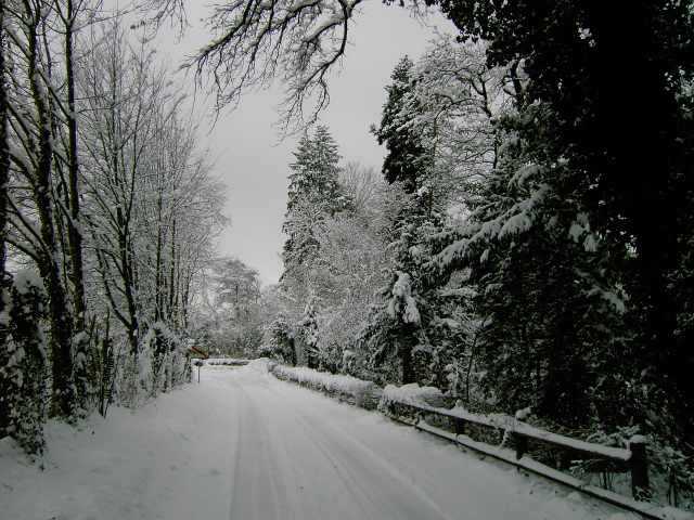 Winter-1.jpg