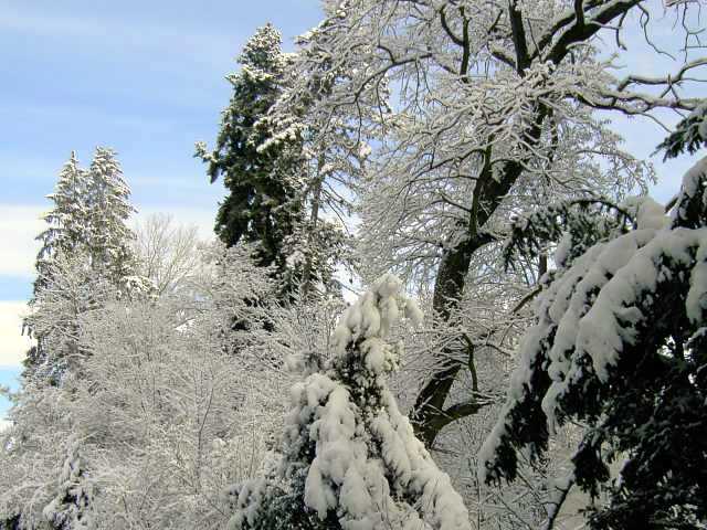Winter-2.jpg