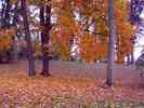 Herbst-1.jpg