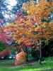 Herbst-10.jpg