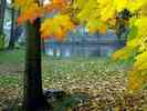 Park