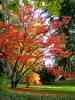 Herbst-8.jpg