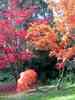 Herbst-9.jpg