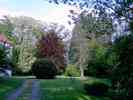 Park-1.jpg