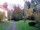 Park-2.jpg