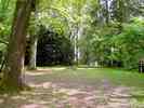 Park-3.jpg
