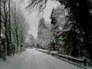 Winter-1.jpg