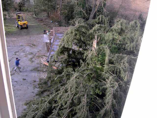 Carport-3.jpg