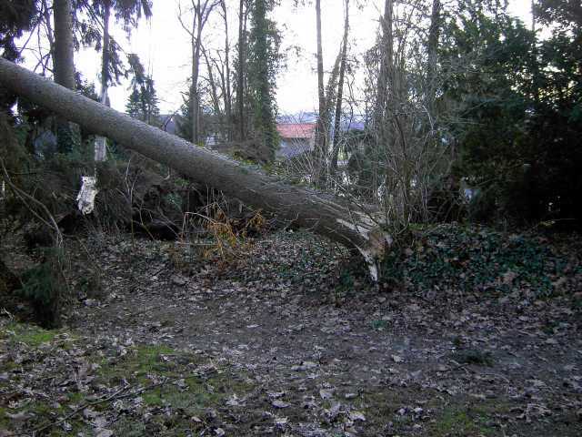 Sturm-4.jpg