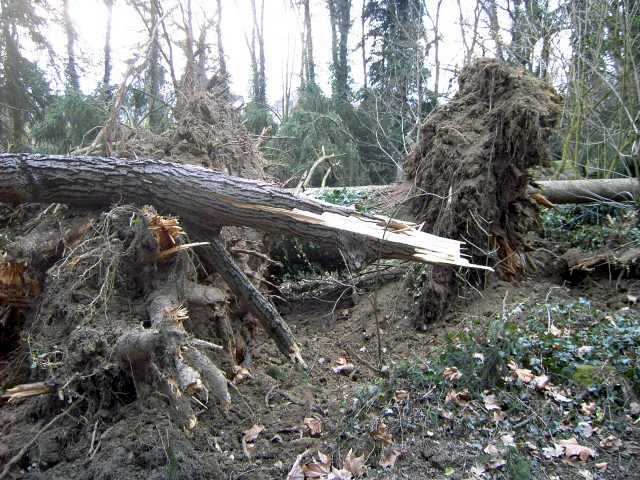 Sturm-5.jpg