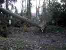 Sturm-4.jpg
