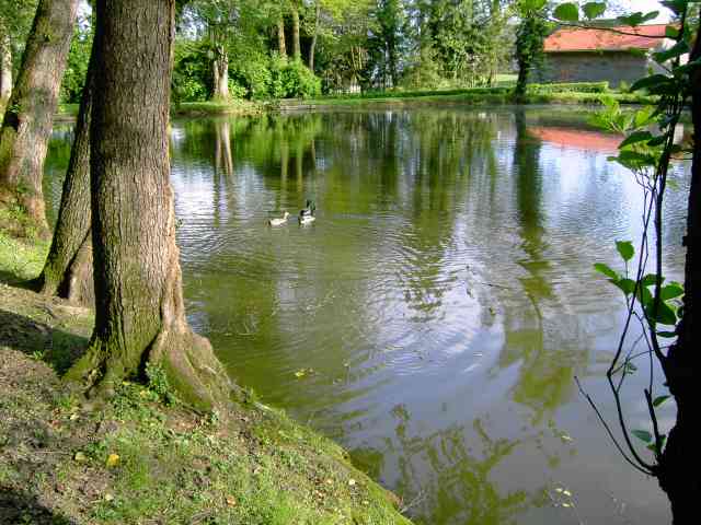 Teich-1.jpg