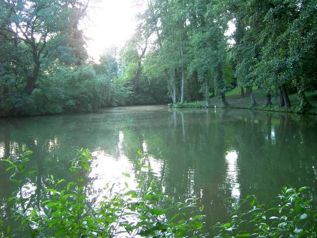 Teich-2.jpg