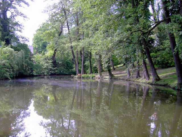 Teich-4.jpg