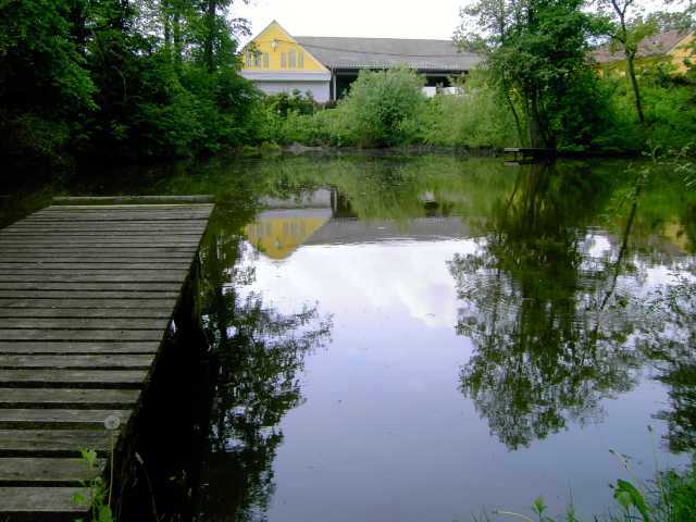 Teich-6.jpg