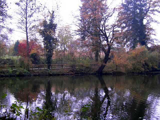 Teich-im-Herbst.jpg