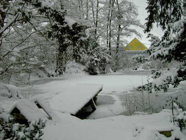 Teich-im-Winter-2.jpg