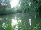 Teich-2.jpg