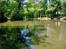Teich-3.jpg