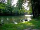 Teich-5.jpg