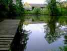 Teich-6.jpg