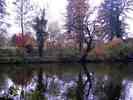 Teich-im-Herbst.jpg