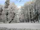 Teich-im-Winter-1.jpg