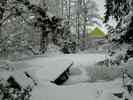 Teich-im-Winter-2.jpg